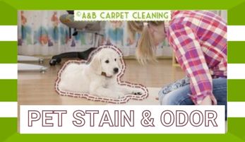 Pet Stain & Odor Removal